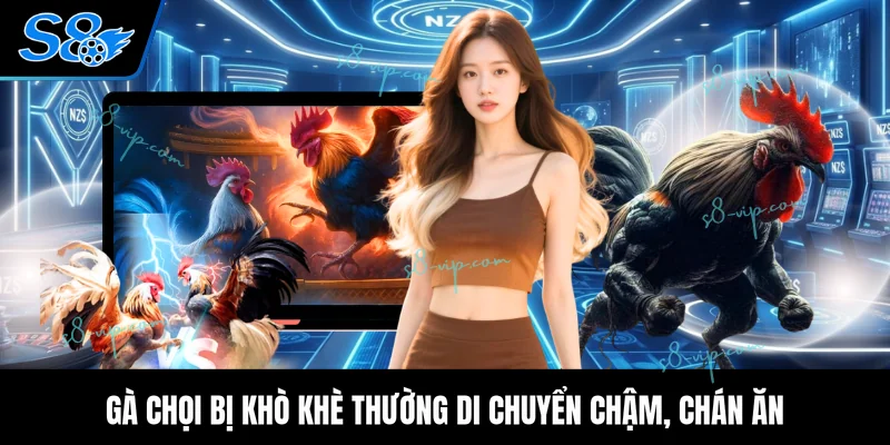Cách Chữa Gà Chọi Bị Khò Khè Khàn Tiếng Hiệu Quả Tại Nhà Gà chọi bị khò khè thường di chuyển chậm, chán ăn