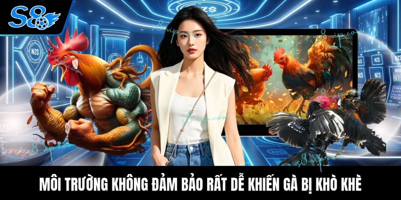 Cách Chữa Gà Chọi Bị Khò Khè Khàn Tiếng Hiệu Quả Tại Nhà Môi trường không đảm bảo rất dễ khiến gà bị khò khè