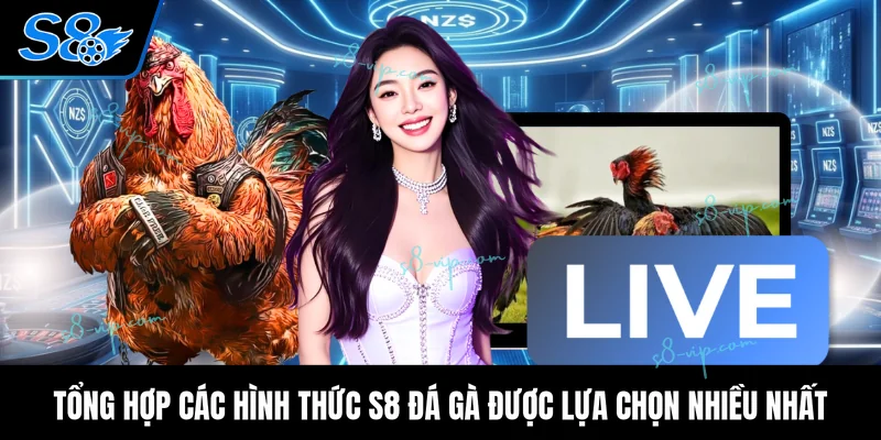 S8 Đá Gà Tổng hợp các hình thức S8 đá gà được lựa chọn nhiều nhất