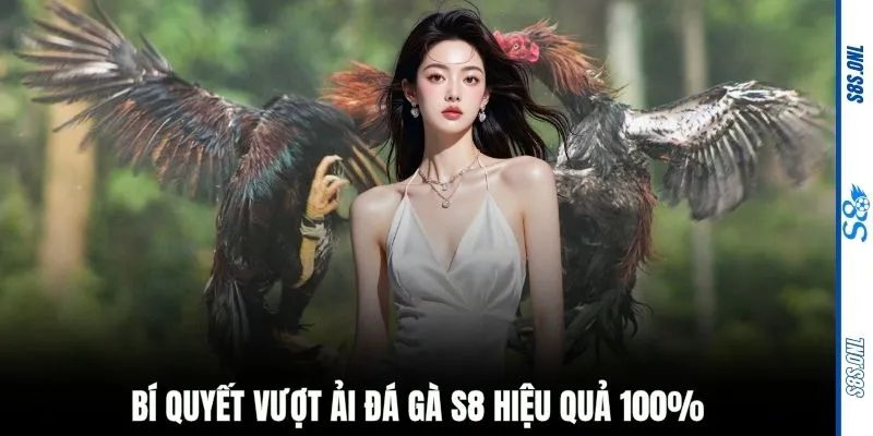 Bí quyết vượt ải đá gà S8 hiệu quả 100%
