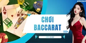 Chơi Baccarat