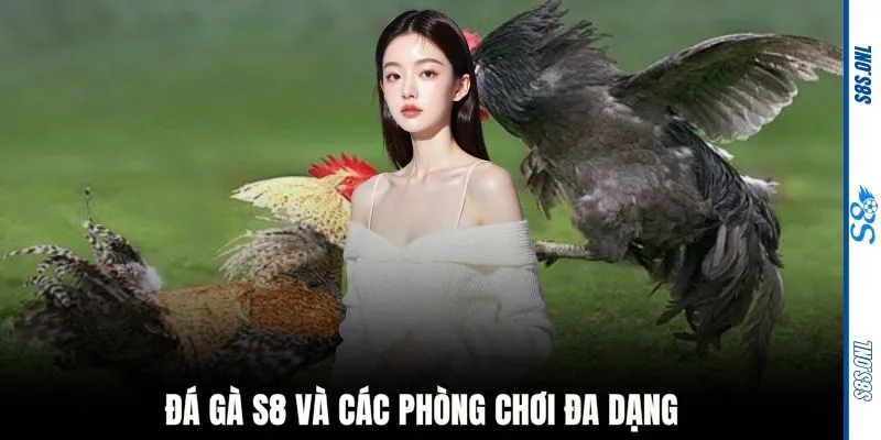 Đá gà S8 và các phòng chơi đa dạng