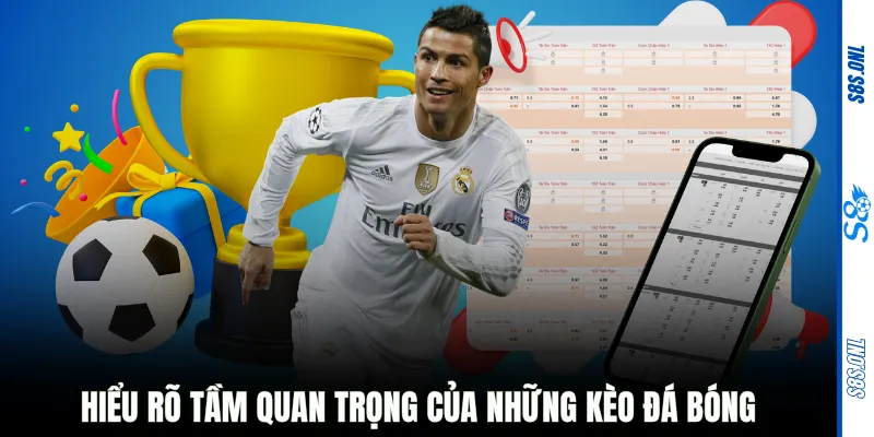 Hiểu rõ tầm quan trọng của những kèo đá bóng